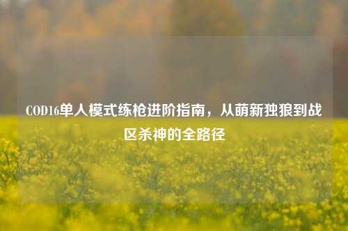 COD16单人模式练枪进阶指南，从萌新独狼到战区杀神的全路径