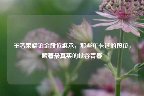 王者荣耀铂金段位继承，那些年卡过的段位，藏着最真实的峡谷青春