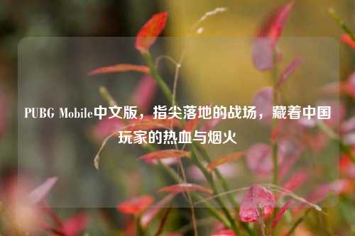 PUBG Mobile中文版，指尖落地的战场，藏着中国玩家的热血与烟火