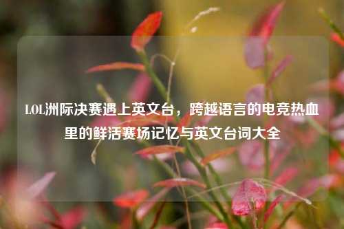 LOL洲际决赛遇上英文台,跨越语言的电竞热血里的鲜活赛场记忆与英文台词大全