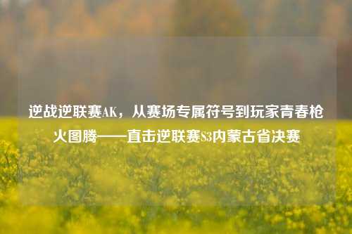 逆战逆联赛AK,从赛场专属符号到玩家青春枪火图腾——直击逆联赛S3内蒙古省决赛