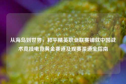 从海岛到世界,和平精英职业联赛铺就中国战术竞技电竞黄金赛道及观赛渠道全指南
