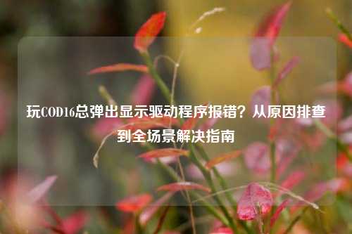 玩COD16总弹出显示驱动程序报错？从原因排查到全场景解决指南