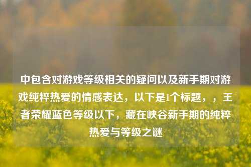 中包含对游戏等级相关的疑问以及新手期对游戏纯粹热爱的情感表达,以下是1个标题,,王者荣耀蓝色等级以下,藏在峡谷新手期的纯粹热爱与等级之谜
