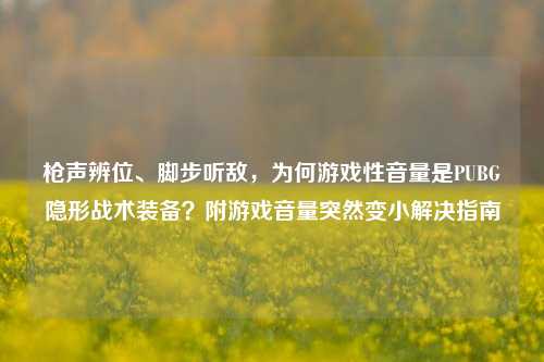 枪声辨位、脚步听敌,为何游戏性音量是PUBG隐形战术装备?附游戏音量突然变小解决指南