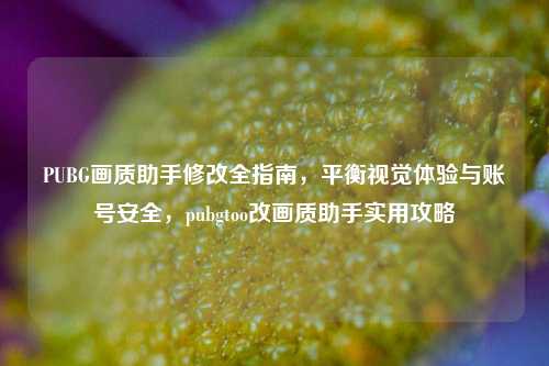 PUBG画质助手修改全指南,平衡视觉体验与账号安全,pubgtoo改画质助手实用攻略