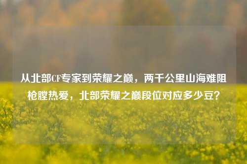 从北部CF专家到荣耀之巅，两千公里山海难阻枪膛热爱，北部荣耀之巅段位对应多少豆？