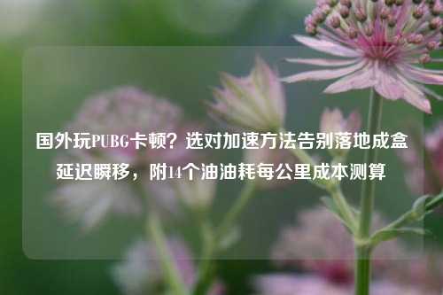 国外玩PUBG卡顿?选对加速方法告别落地成盒延迟瞬移,附14个油油耗每公里成本测算