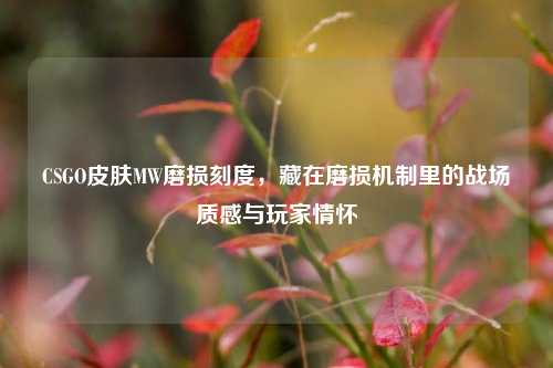 CSGO皮肤MW磨损刻度,藏在磨损机制里的战场质感与玩家情怀