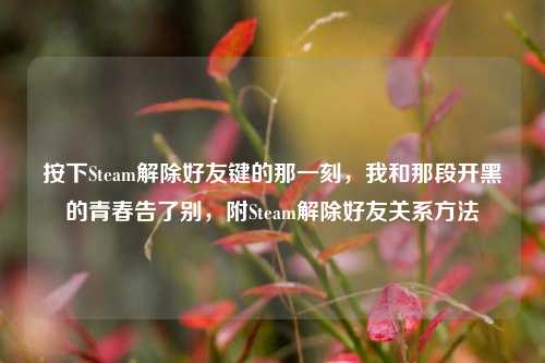 按下Steam解除好友键的那一刻，我和那段开黑的青春告了别，附Steam解除好友关系方法