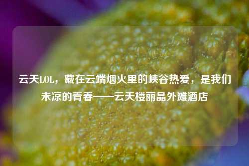 云天LOL,藏在云端烟火里的峡谷热爱,是我们未凉的青春——云天楼丽晶外滩酒店