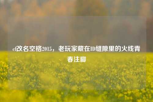 cf改名空格2015,老玩家藏在ID缝隙里的火线青春注脚