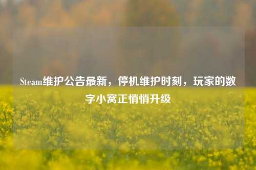 Steam维护公告最新,停机维护时刻,玩家的数字小窝正悄悄升级
