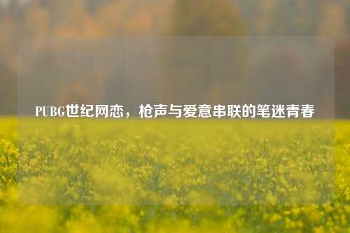 PUBG世纪网恋,枪声与爱意串联的笔迷青春