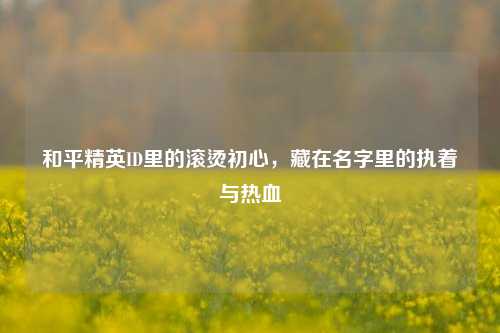 和平精英ID里的滚烫初心，藏在名字里的执着与热血