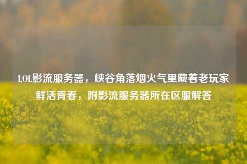LOL影流服务器，峡谷角落烟火气里藏着老玩家鲜活青春，附影流服务器所在区服解答