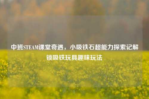中班STEAM课堂奇遇,小吸铁石超能力探索记解锁吸铁玩具趣味玩法