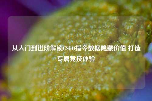 从入门到进阶解锁CSGO指令数据隐藏价值 打造专属竞技体验
