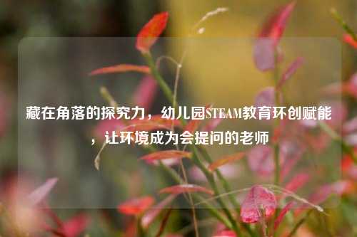 藏在角落的探究力,幼儿园STEAM教育环创赋能,让环境成为会提问的老师