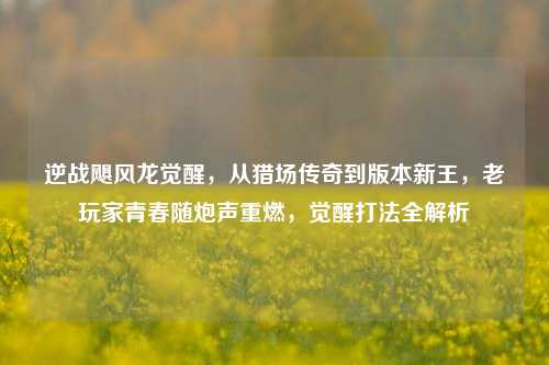 逆战飓风龙觉醒，从猎场传奇到版本新王，老玩家青春随炮声重燃，觉醒打法全解析