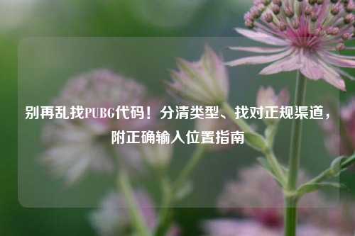 别再乱找PUBG代码!分清类型、找对正规渠道,附正确输入位置指南