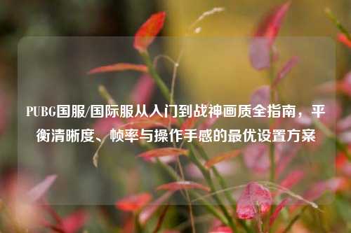 PUBG国服/国际服从入门到战神画质全指南,平衡清晰度、帧率与操作手感的最优设置方案