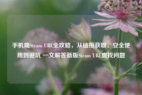 手机端Steam URL全攻略，从链接获取、安全使用到避坑 一文解答新版Steam URL查找问题