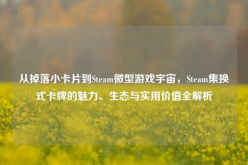从掉落小卡片到Steam微型游戏宇宙,Steam集换式卡牌的魅力、生态与实用价值全解析