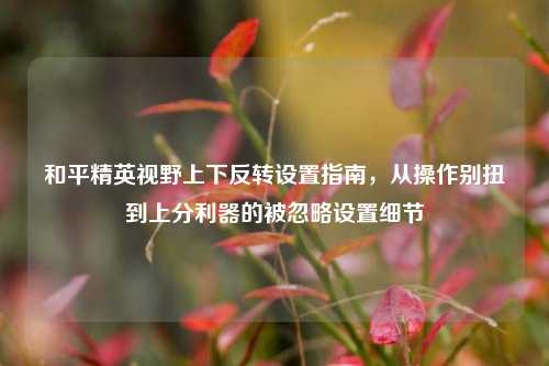 和平精英视野上下反转设置指南，从操作别扭到上分利器的被忽略设置细节