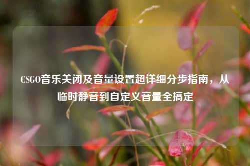 CSGO音乐关闭及音量设置超详细分步指南,从临时静音到自定义音量全搞定