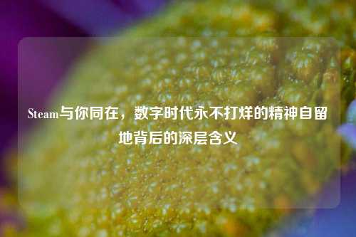 Steam与你同在,数字时代永不打烊的精神自留地背后的深层含义