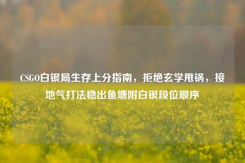 CSGO白银局生存上分指南，拒绝玄学甩锅，接地气打法稳出鱼塘附白银段位顺序