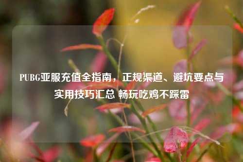 PUBG亚服充值全指南,正规渠道、避坑要点与实用技巧汇总 畅玩吃鸡不踩雷