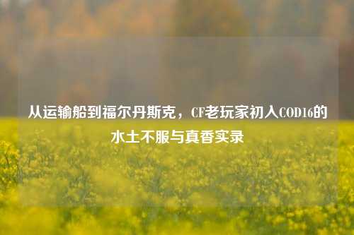 从运输船到福尔丹斯克,CF老玩家初入COD16的水土不服与真香实录