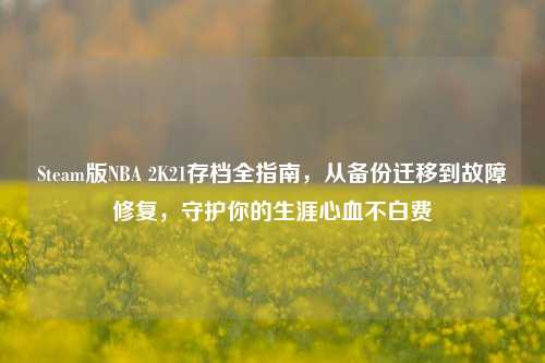 Steam版NBA 2K21存档全指南,从备份迁移到故障修复,守护你的生涯心血不白费