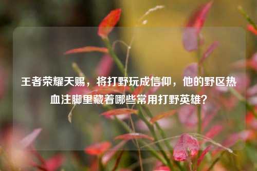 王者荣耀天赐,将打野玩成信仰,他的野区热血注脚里藏着哪些常用打野英雄?