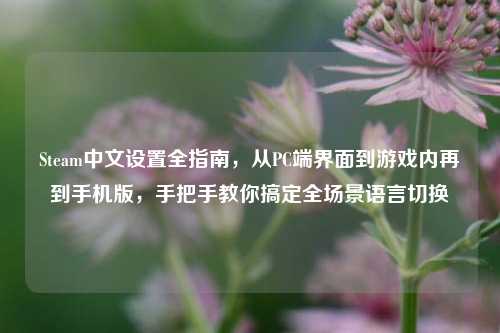 Steam中文设置全指南,从PC端界面到游戏内再到手机版,手把手教你搞定全场景语言切换