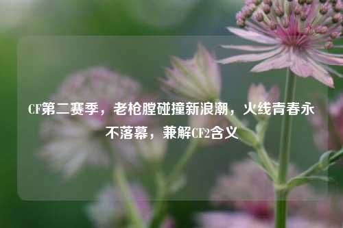 CF第二赛季，老枪膛碰撞新浪潮，火线青春永不落幕，兼解CF2含义
