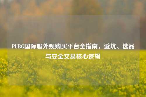 PUBG国际服外观购买平台全指南,避坑、选品与安全交易核心逻辑