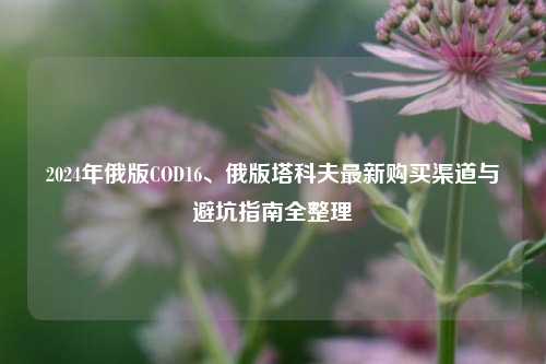 2024年俄版COD16、俄版塔科夫最新购买渠道与避坑指南全整理