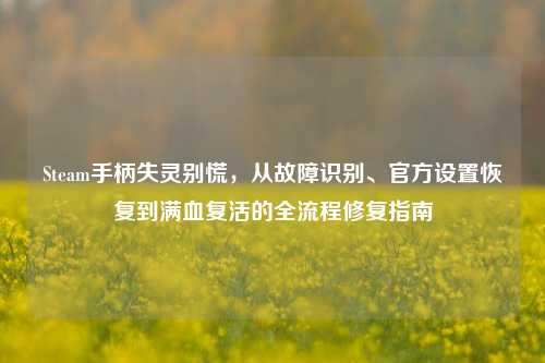 Steam手柄失灵别慌,从故障识别、官方设置恢复到满血复活的全流程修复指南