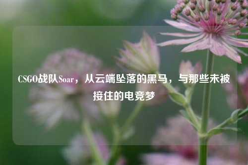 CSGO战队Soar，从云端坠落的黑马，与那些未被接住的电竞梦