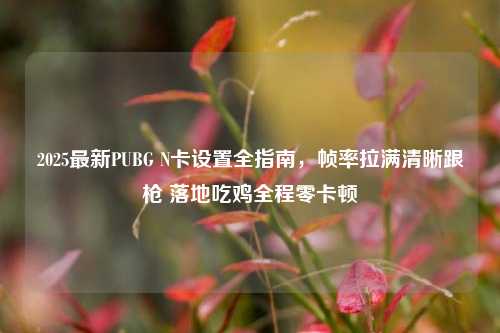 2025最新PUBG N卡设置全指南,帧率拉满清晰跟枪 落地吃鸡全程零卡顿