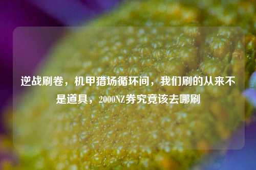 逆战刷卷,机甲猎场循环间,我们刷的从来不是道具,2000NZ券究竟该去哪刷