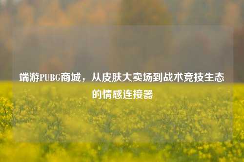 端游PUBG商城，从皮肤大卖场到战术竞技生态的情感连接器