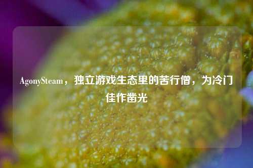 AgonySteam,独立游戏生态里的苦行僧,为冷门佳作凿光