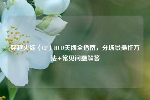 穿越火线(CF)HUD关闭全指南,分场景操作方法+常见问题解答