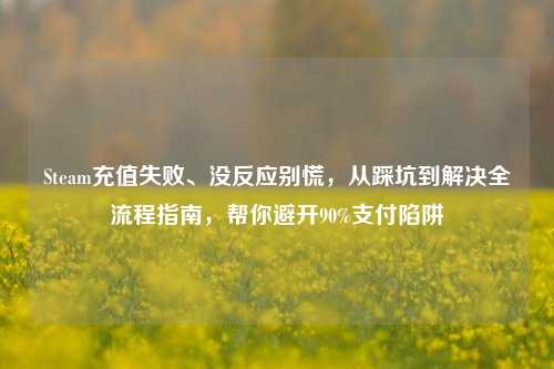 Steam充值失败、没反应别慌，从踩坑到解决全流程指南，帮你避开90%支付陷阱