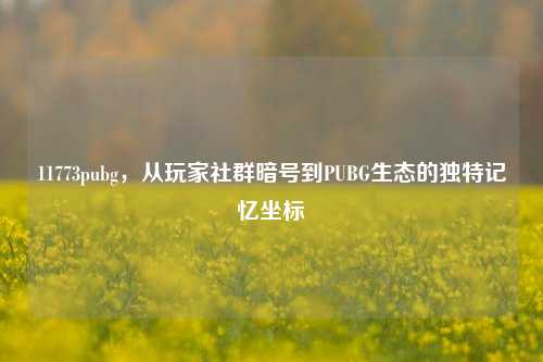 11773pubg,从玩家社群暗号到PUBG生态的独特记忆坐标