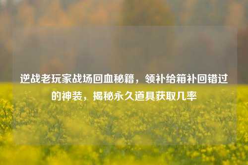 逆战老玩家战场回血秘籍,领补给箱补回错过的神装,揭秘永久道具获取几率
